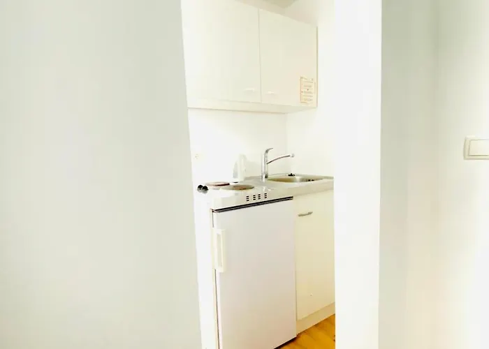 Budget 8br With Terrace For 16 Guests Vienna