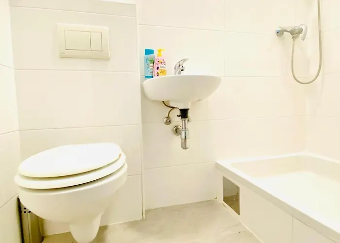 Apartment Budget 8br With Terrace For 16 Guests Vienna